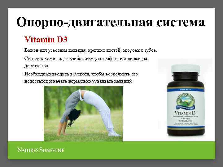 Опорно-двигательная система Vitamin D 3 Важен для усвоения кальция, крепких костей, здоровых зубов. Синтез