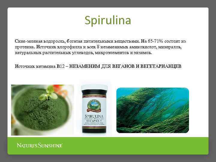 Spirulina Сине-зеленая водоросль, богатая питательными веществами. На 65 -71% состоит из протеина. Источник хлорофилла