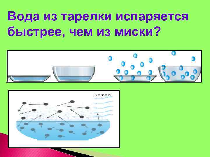 Вода из тарелки испаряется быстрее, чем из миски? 