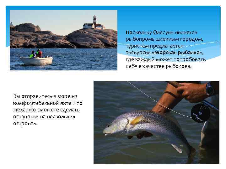 Поскольку Олесунн является рыбопромышленным городом, туристам предлагается экскурсия «Морская рыбалка» , где каждый может