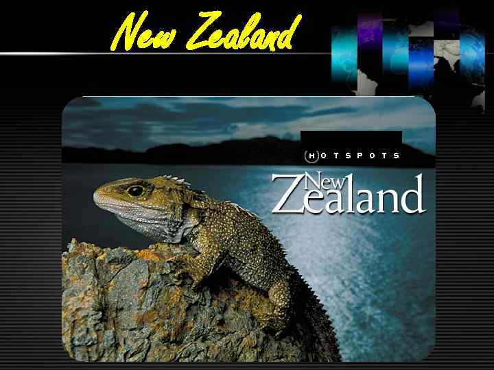 New Zealand 