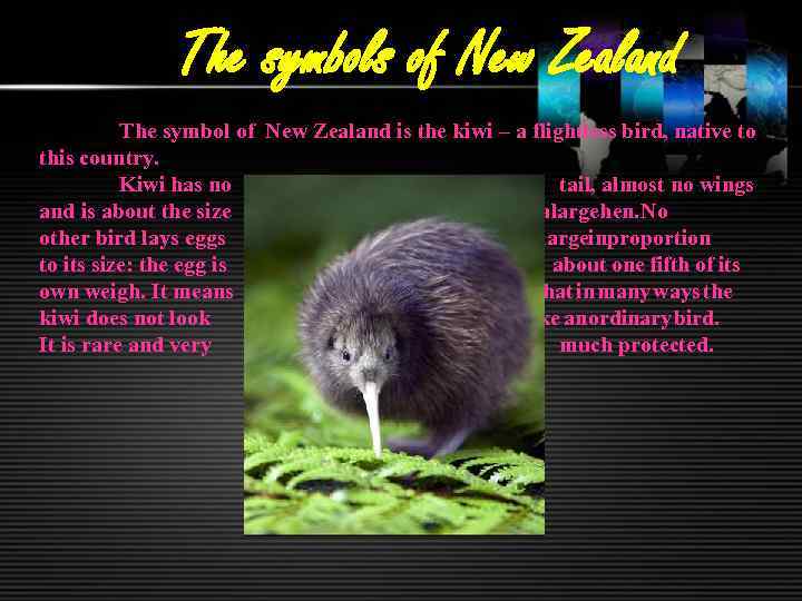 The symbols of New Zealand The symbol of New Zealand is the kiwi –