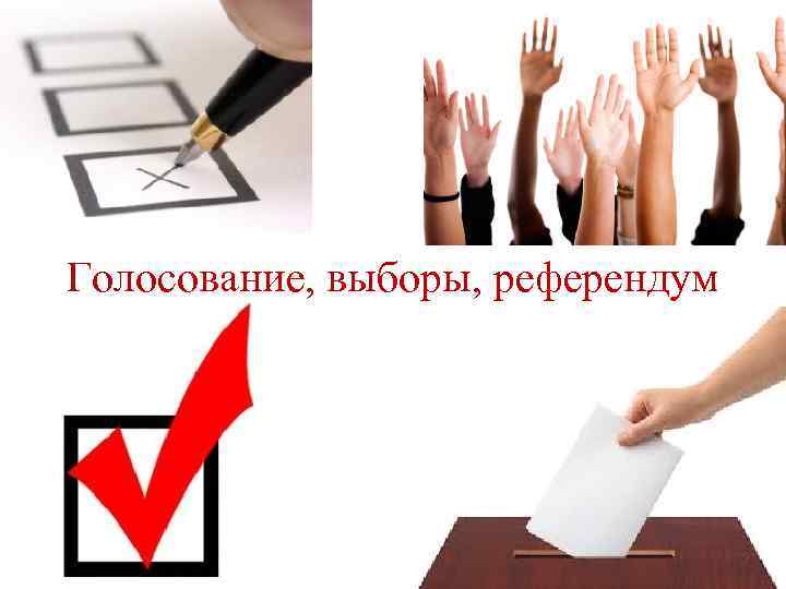 Голосование, выборы, референдум 