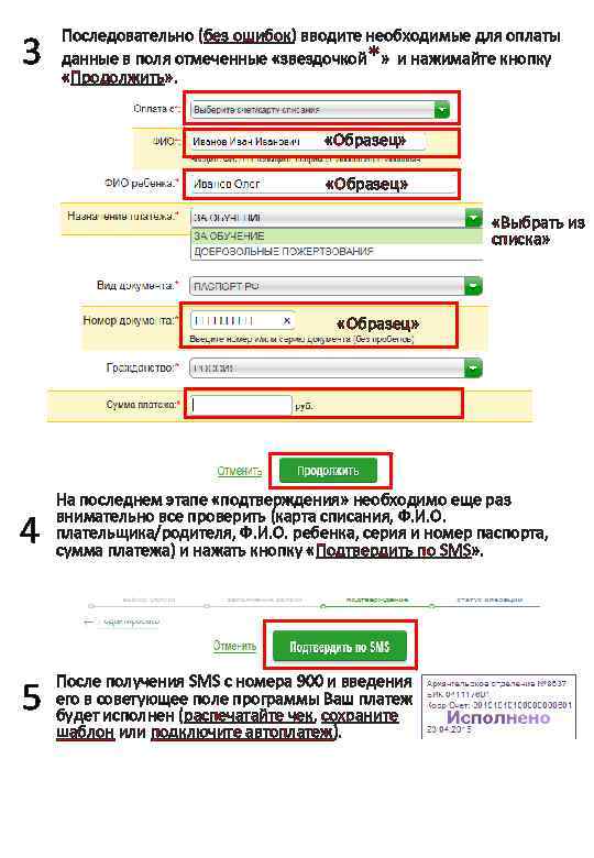 3 Последовательно (без ошибок) вводите необходимые для оплаты данные в поля отмеченные «звездочкой*» и