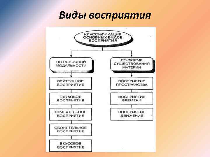 Формы познания ощущение восприятие представление. Классификация основных видов восприятия. Уровни восприятия по Ведам. Гобс виды восприятия. Восприятие бывает каким объективное.