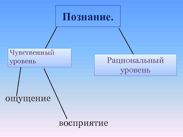 План чувственное познание