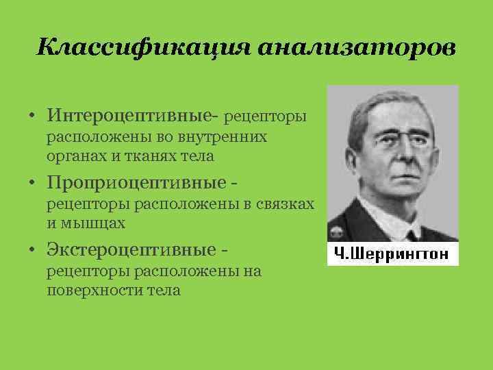 Классификация анализаторов • Интероцептивные- рецепторы расположены во внутренних органах и тканях тела • Проприоцептивные