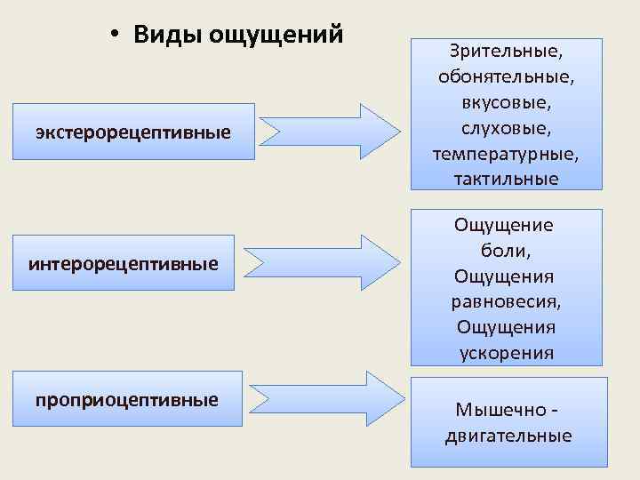  • Виды ощущений экстерорецептивные интерорецептивные проприоцептивные Зрительные, обонятельные, вкусовые, слуховые, температурные, тактильные Ощущение