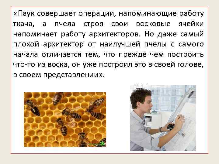  «Паук совершает операции, напоминающие работу ткача, а пчела строя свои восковые ячейки напоминает