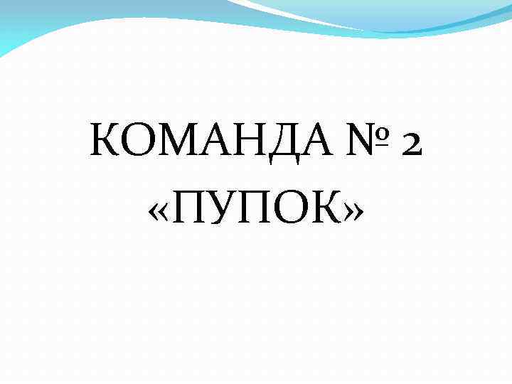 КОМАНДА № 2 «ПУПОК» 