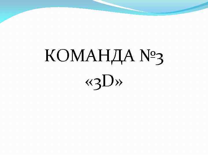 КОМАНДА № 3 « 3 D» 