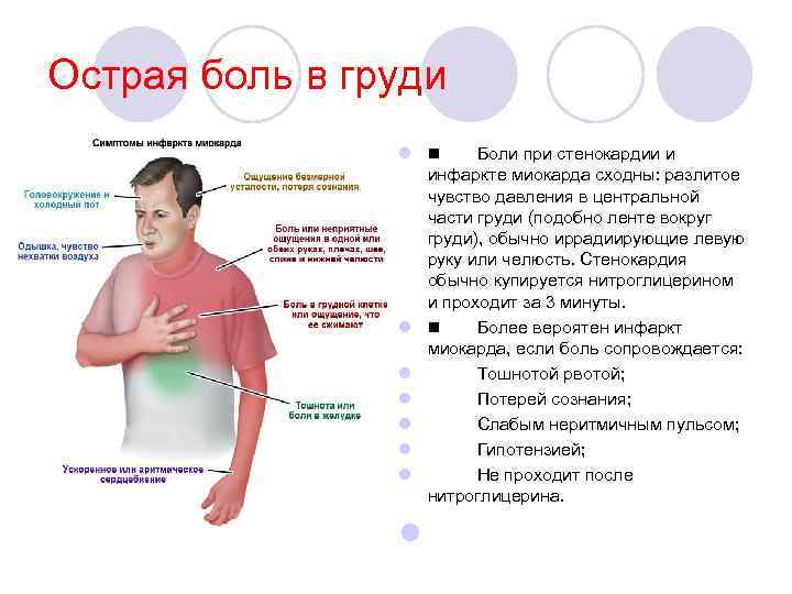 Острая боль в груди l Боли при стенокардии и инфаркте миокарда сходны: разлитое чувство