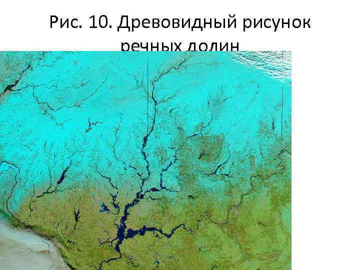 Рис. 10. Древовидный рисунок речных долин 