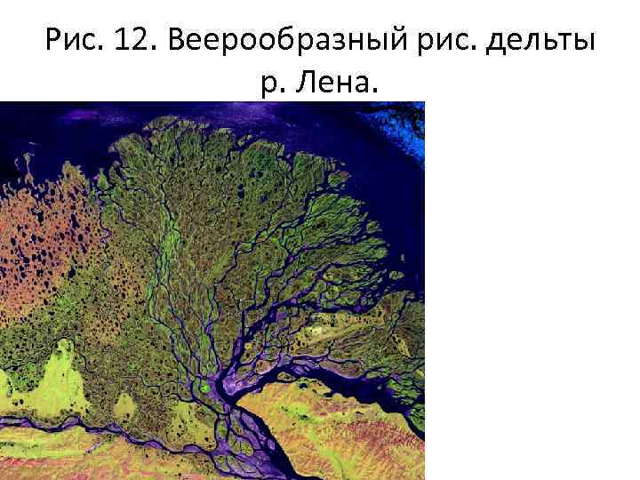 Рис. 12. Веерообразный рис. дельты р. Лена. 