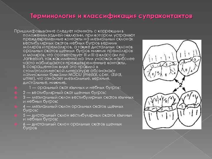 Терминология и классификация супраконтактов Пришлифовывание следует начинать с коррекции в положении задней окклюзии, при