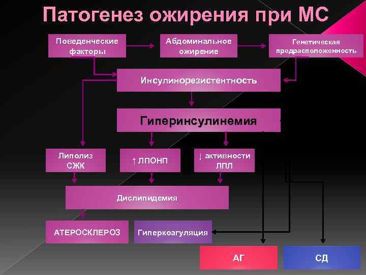 Патогенез ожирения при МС Поведенческие факторы Абдоминальное ожирение Генетическая предрасположенность Инсулинорезистентность Гиперинсулинемия Липолиз СЖК