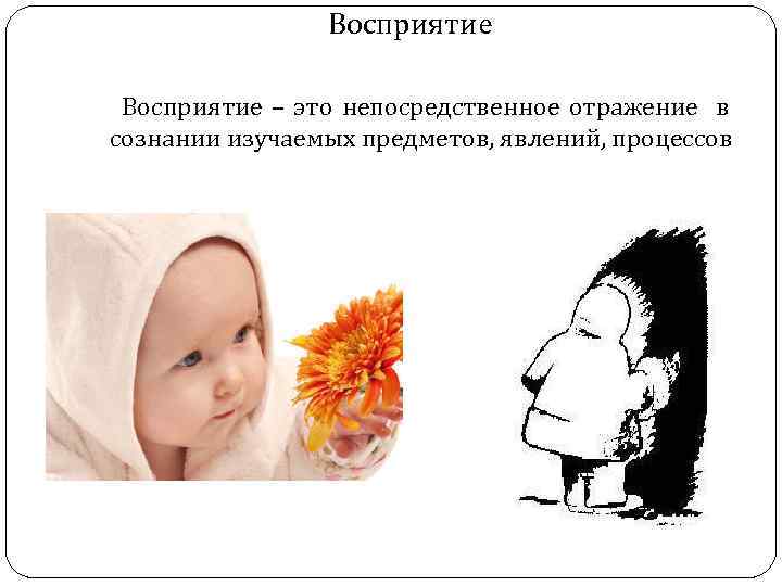 Восприятие – это непосредственное отражение в сознании изучаемых предметов, явлений, процессов 