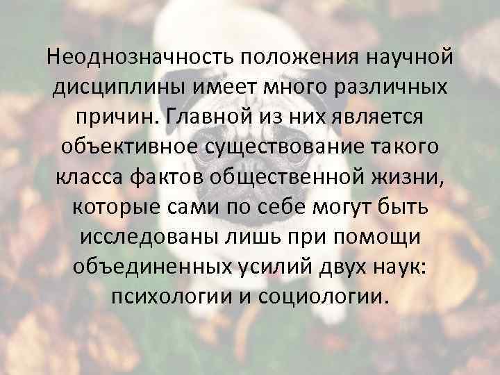 Неоднозначность положения научной дисциплины имеет много различных причин. Главной из них является объективное существование