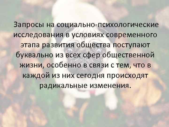 Запросы на социально-психологические исследования в условиях современного этапа развития общества поступают буквально из всех