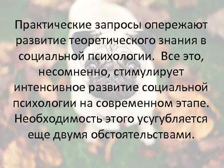 Практические запросы опережают развитие теоретического знания в социальной психологии. Все это, несомненно, стимулирует интенсивное