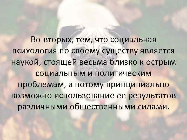 Во-вторых, тем, что социальная психология по своему существу является наукой, стоящей весьма близко к