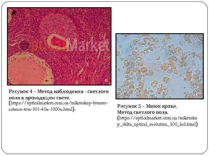 Рисунок 4 – Метод наблюдения ‐ светлого поля в проходящем свете. (https: //opticalmarket. com.