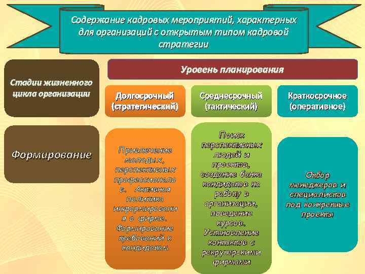 Содержание кадровых мероприятий, характерных для организаций с открытым типом кадровой стратегии Уровень планирования Стадии