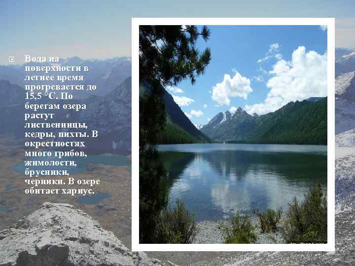  Вода на поверхности в летнее время прогревается до 15, 5 °С. По берегам