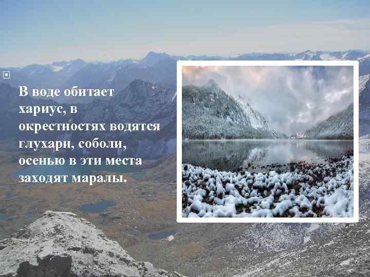  В воде обитает хариус, в окрестностях водятся глухари, соболи, осенью в эти места