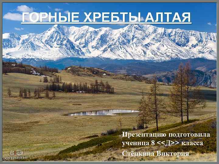 ГОРНЫЕ ХРЕБТЫ АЛТАЯ Презентацию подготовила ученица 8 <<Д>> класса Стёпкина Виктория 