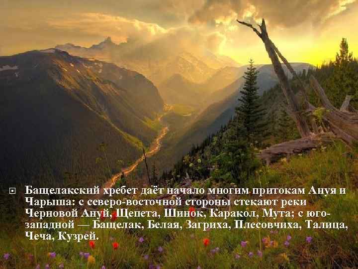  Бащелакский хребет даёт начало многим притокам Ануя и Чарыша: с северо-восточной стороны стекают