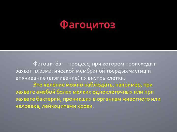 Фагоцитоз Фагоцито з — процесс, при котором происходит захват плазматической мембраной твердых частиц и