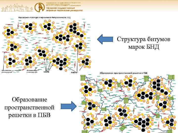 Структура битумов марок БНД Образование пространственной решетки в ПБВ 8 