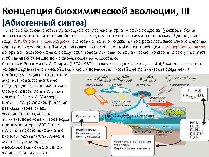 Концепция биохимической эволюции, III (Абиогенный синтез) В начале XX в. считалось, что лежащие в