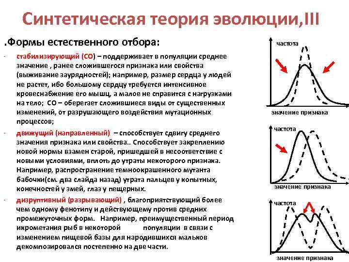 Естественный отбор в популяциях. Синтетическая теория эволюции формы естественного отбора. Формы естественного отбора по СТЭ. Движущий отбор стабилизирующий отбор дизруптивный отбор таблица. Формы естественного отбора по синтетической теории эволюции.