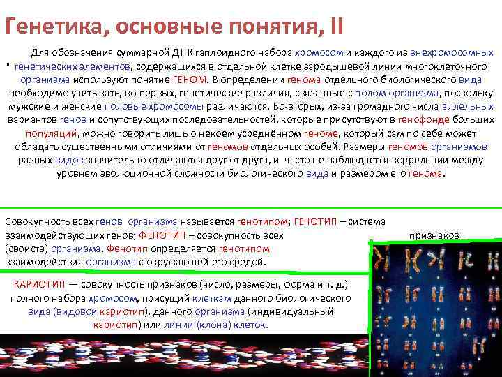 Генетика, основные понятия, II Для обозначения суммарной ДНК гаплоидного набора хромосом и каждого из