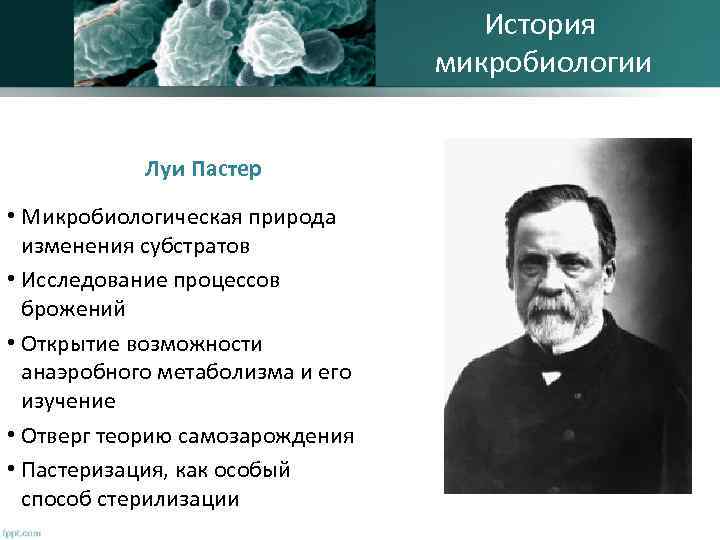 История микробиологии Луи Пастер • Микробиологическая природа изменения субстратов • Исследование процессов брожений •