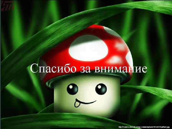 Спасибо за внимание http: //contact-obninsk. ru/wp-content/uploads/2015/07/грибы2. jpg 