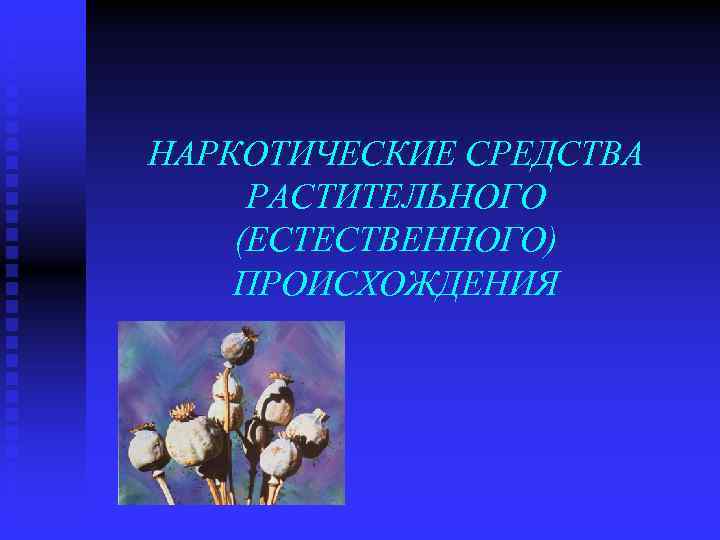 НАРКОТИЧЕСКИЕ СРЕДСТВА РАСТИТЕЛЬНОГО (ЕСТЕСТВЕННОГО) ПРОИСХОЖДЕНИЯ 