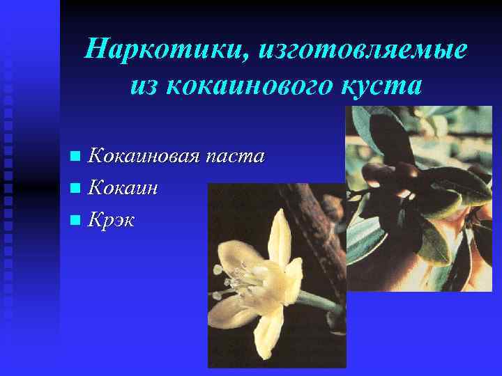 Наркотики, изготовляемые из кокаинового куста Кокаиновая паста n Кокаин n Крэк n 