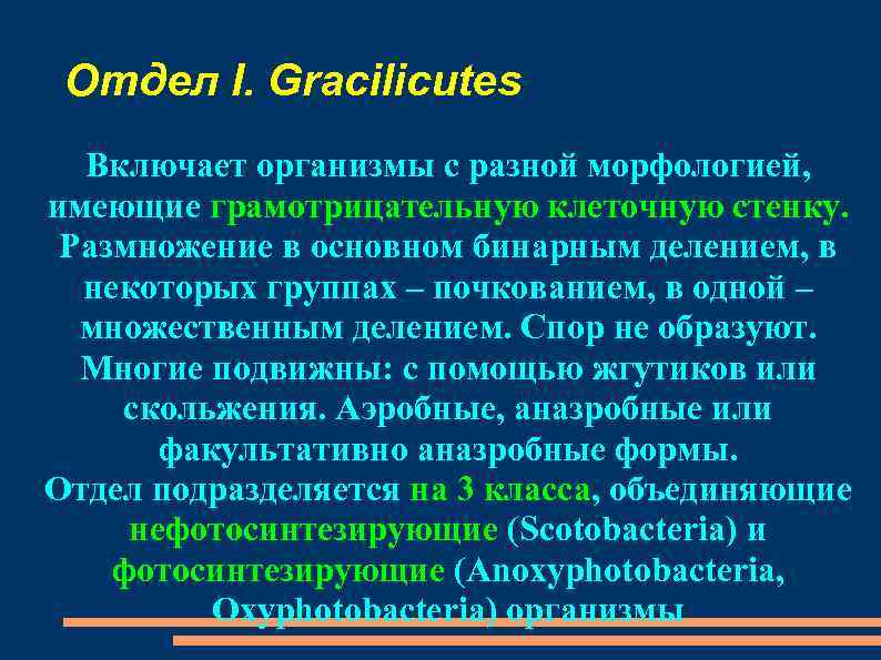 Отдел I. Gracilicutes Включает организмы с разной морфологией, имеющие грамотрицательную клеточную стенку. Размножение в