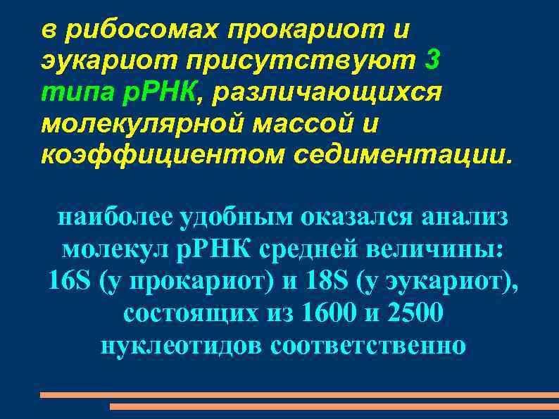 в рибосомах прокариот и эукариот присутствуют 3 типа р. РНК, различающихся молекулярной массой и