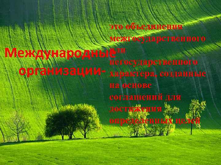 это объединения межгосударственного или Международные негосударственного организации- характера, созданные на основе соглашений для достижения