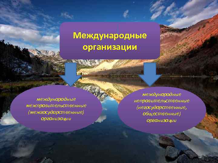 Международные организации международные межправительственные (межгосударственные) организации международные неправительственные (негосударственные, общественные) организации 