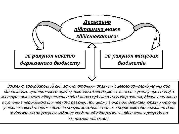 Державна підтримка може здійснюватися: за рахунок коштів державного бюджету за рахунок місцевих бюджетів Зокрема,