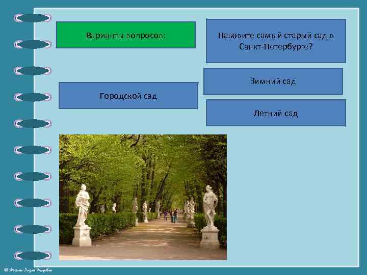 Самый старый свидетель в летнем саду. Летний сад задание. Летний сад в зимний период Игорь Рыбинский читать книгу. Викторина по Санкт-Петербургу для начальной школы презентация. Городской сад книга.