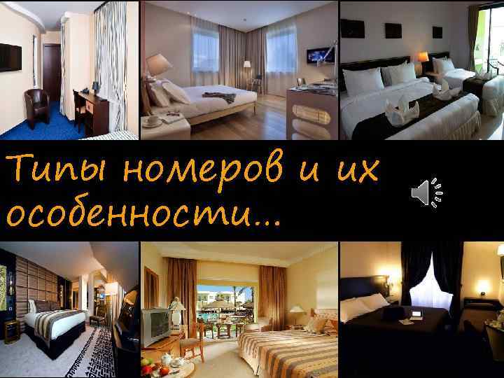Типы номеров и их особенности… 