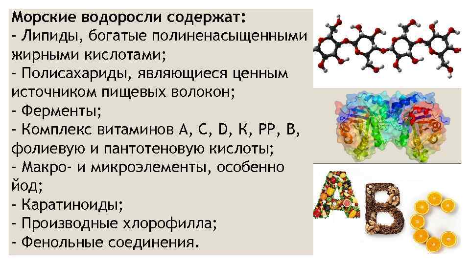 Морские водоросли содержат: - Липиды, богатые полиненасыщенными жирными кислотами; - Полисахариды, являющиеся ценным источником