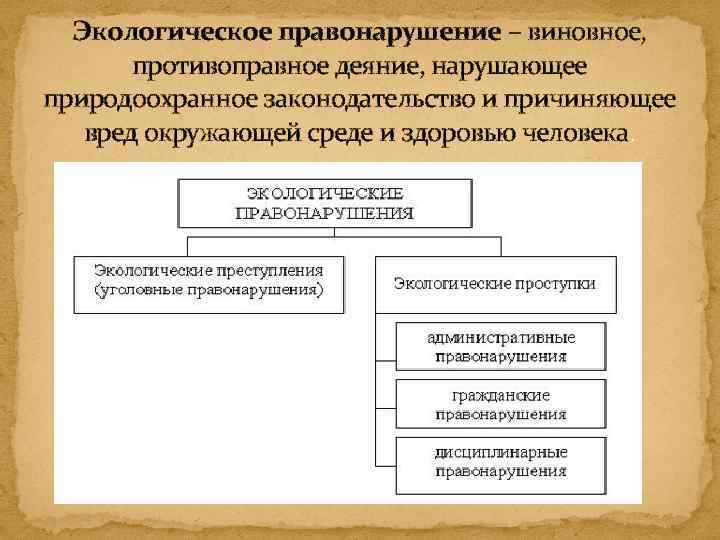 Экологическое правонарушение – виновное, противоправное деяние, нарушающее природоохранное законодательство и причиняющее вред окружающей среде