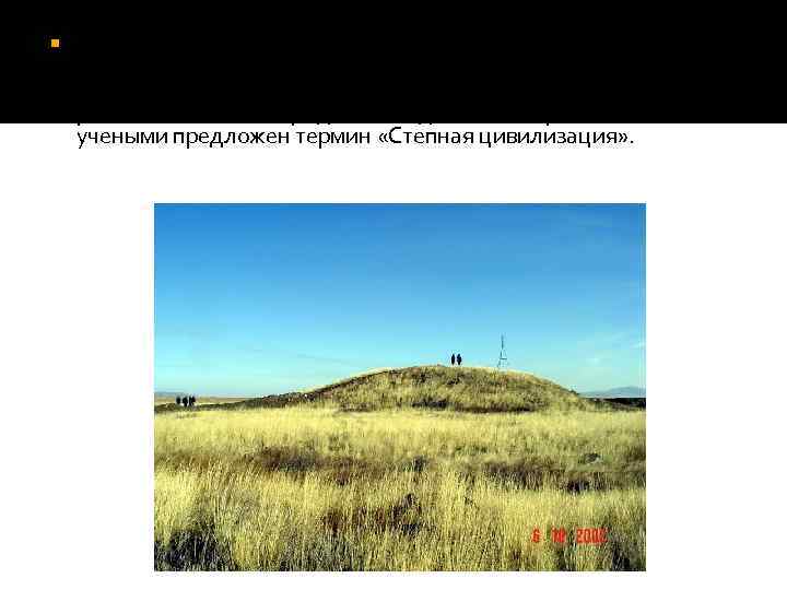  В современной науке высказываются мнения о достижении общества степного населения раннего железного века